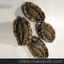 【青島直銷 海鮮 鮑魚(yú) 海鮮批發(fā) 鮑魚(yú)批發(fā)【圖】】?jī)r(jià)格,廠家,圖片,鮮活/冷凍水產(chǎn),青島旺福魚(yú)鄉(xiāng)水產(chǎn)品-