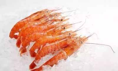 海鮮界的“無名英雄” 這些你常吃的美味，你真的認識它們嗎？