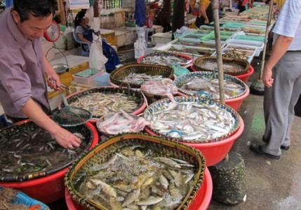 水產品放心吃！多地市場核酸檢測陰性，安全有保障